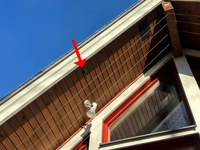 北杜市で軒天（軒天井・上裏）にキツツキの穴ができている写真