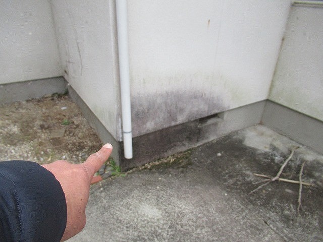 甲府市で日陰のモルタル外壁にカビが発生して黒ずんでいる様子