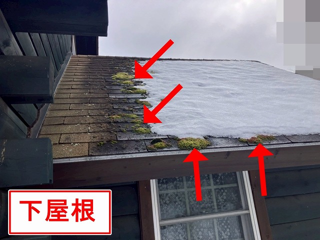 北杜市で苔・藻が発生しているアスファルトシングルの下屋根