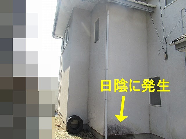 甲府市で日陰のモルタル外壁にカビが発生して黒ずんでいる様子