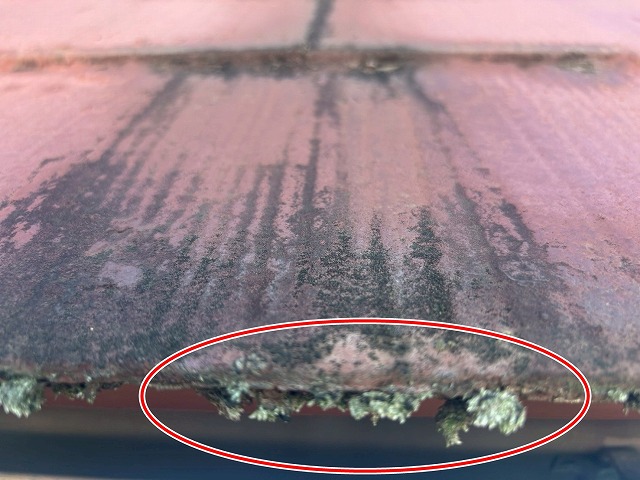 都留市でスレート屋根に苔・藻が発生している様子