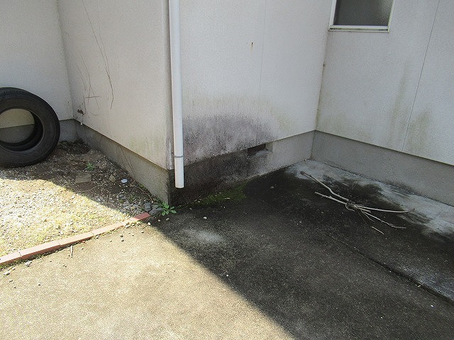 甲府市で日陰のモルタル外壁にカビが発生して黒ずんでいる様子