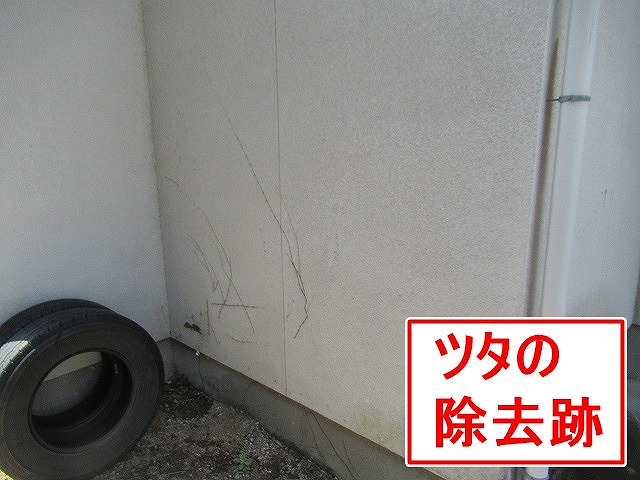 甲府市でモルタル外壁にツタの除去跡が残っている様子