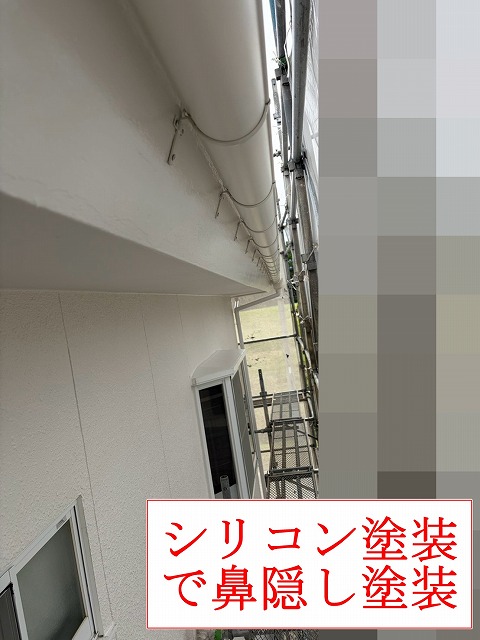 鼻隠しのシリコン塗装