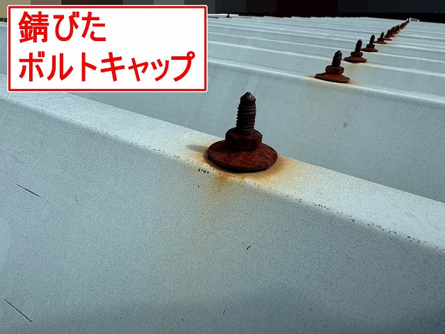 富士吉田市で折板屋根のボルトキャップが錆びている様子