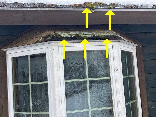 北杜市で軒先に苔の発生した屋根・出窓上部