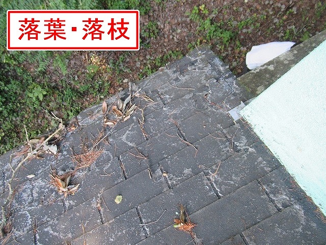 南都留郡鳴沢村で枝や葉のたまるアスファルトシングル屋根の調査