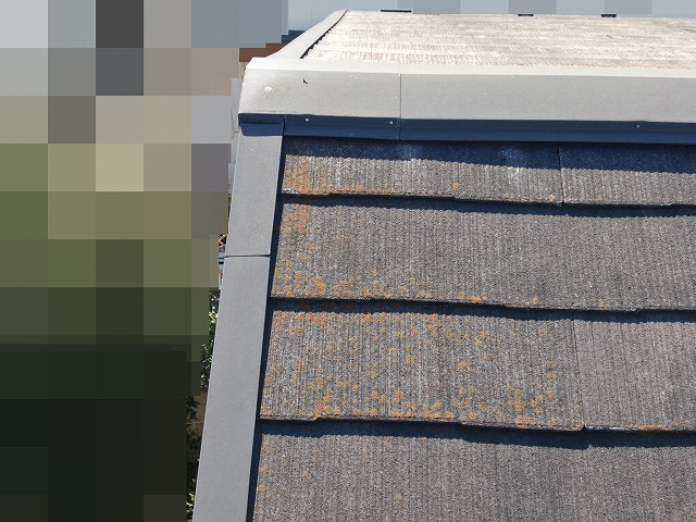 甲府市でスレート（コロニアル）屋根の調査で黒カビ・藻の繁殖を確認する様子