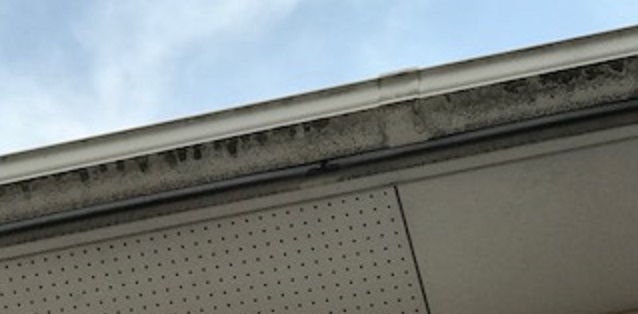 雨樋　洗浄前　有効板