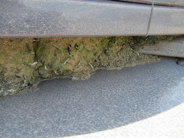 中央市　漆喰破損個所