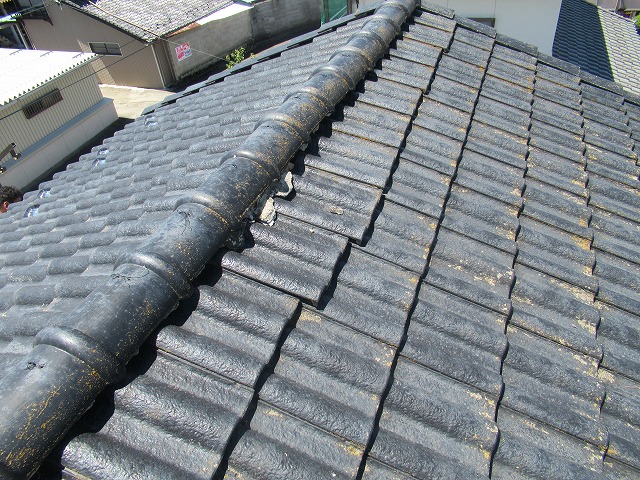 南アルプス市　モニエル瓦苔