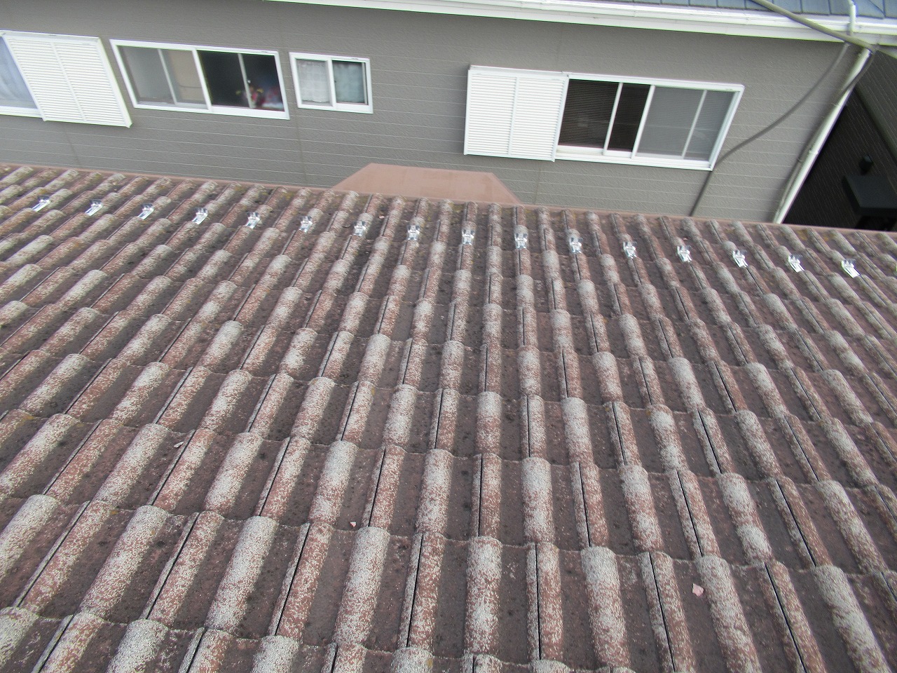 中央市屋根調査の様子モニエル瓦