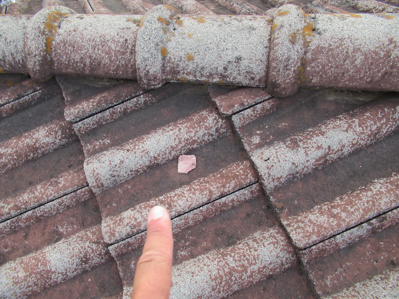 モニエル瓦漆喰破損