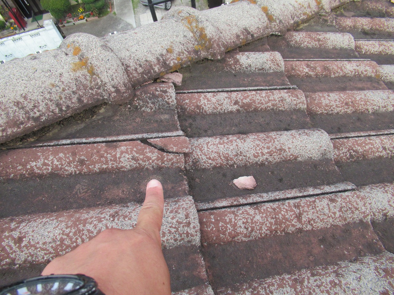 モニエル瓦割れ