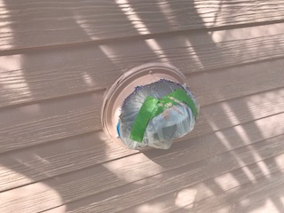 換気扇　上塗り