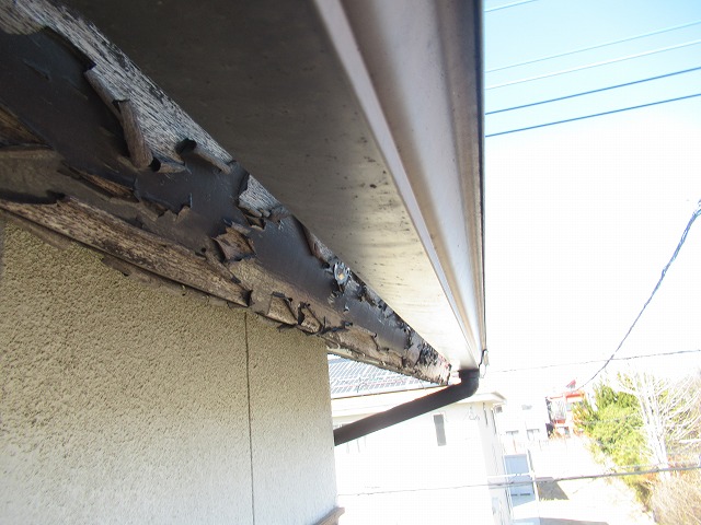 雨樋金具ゆるみ