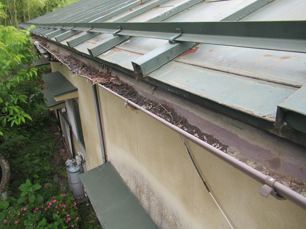 富士吉田市　平屋　現地調査　雨樋歪み　雨樋詰まり