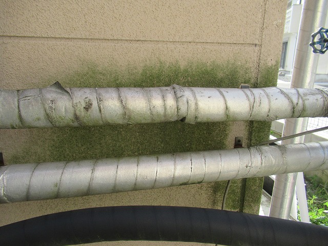 甲府市店舗兼用住宅　外壁コケ