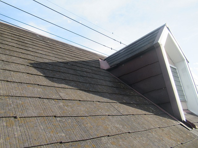 甲府市店舗兼用住宅　屋根コケ