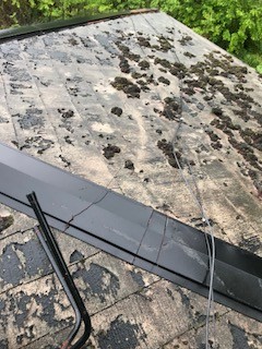 銅線　切除