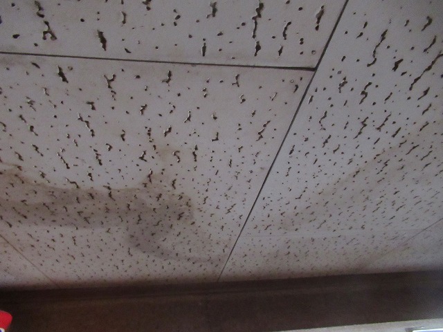 韮崎市雨漏れ箇所