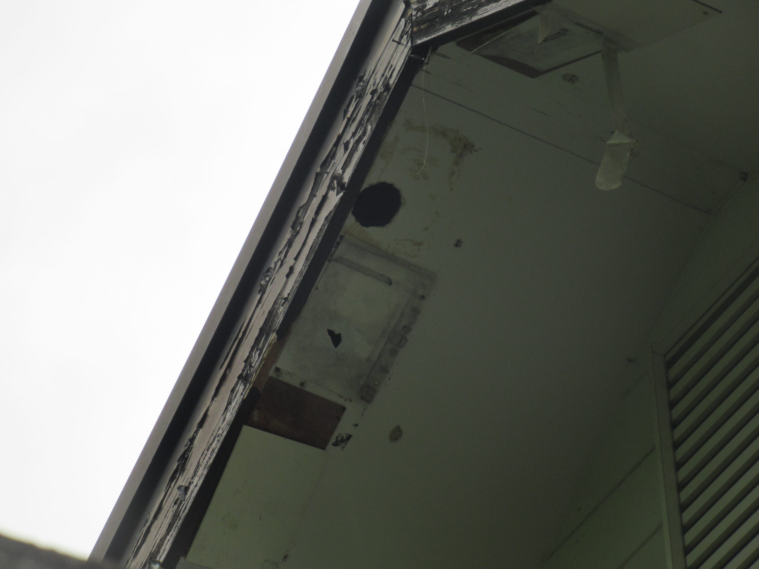 北杜市きつつき被害