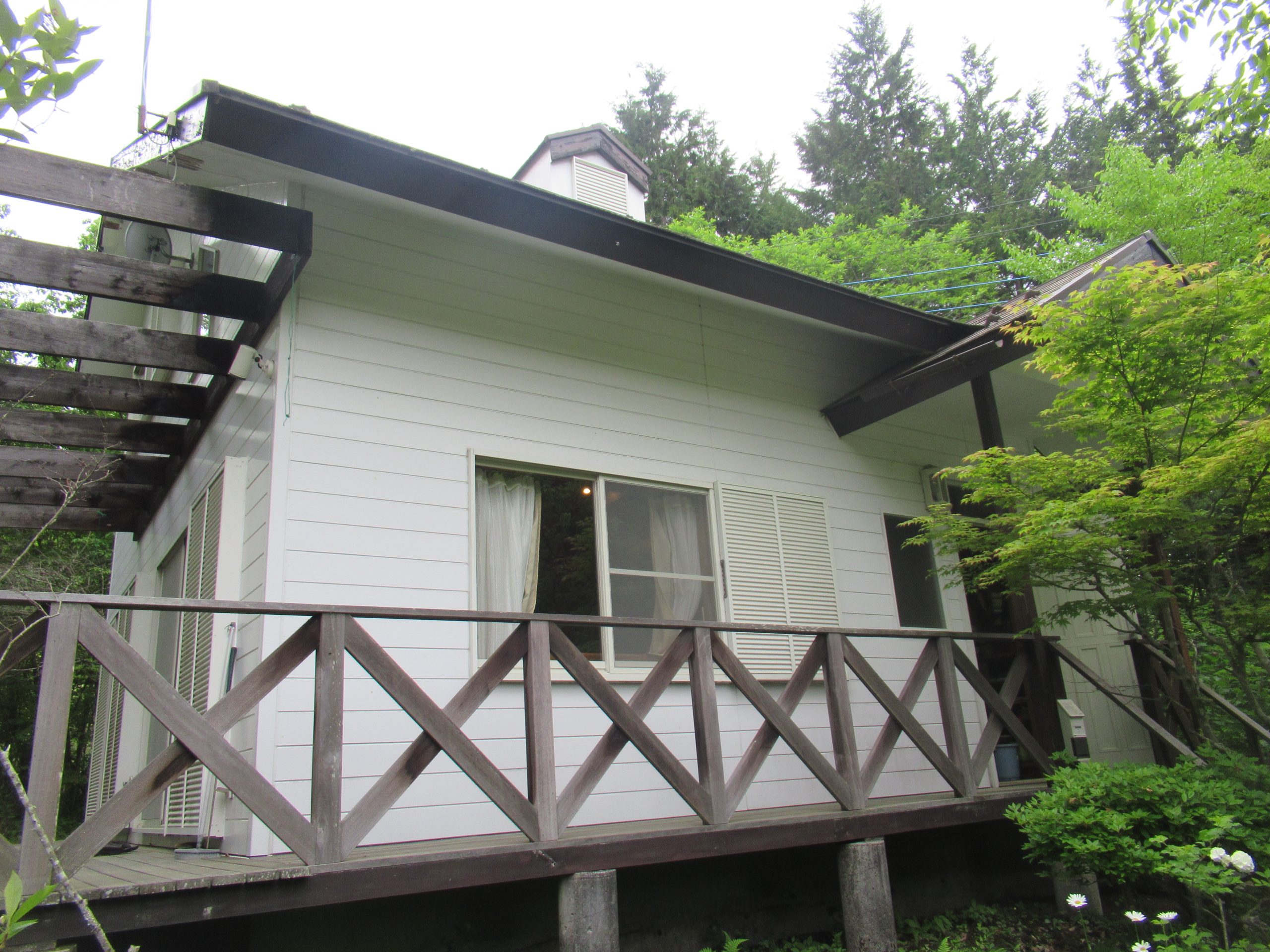 北杜市軒樋なし