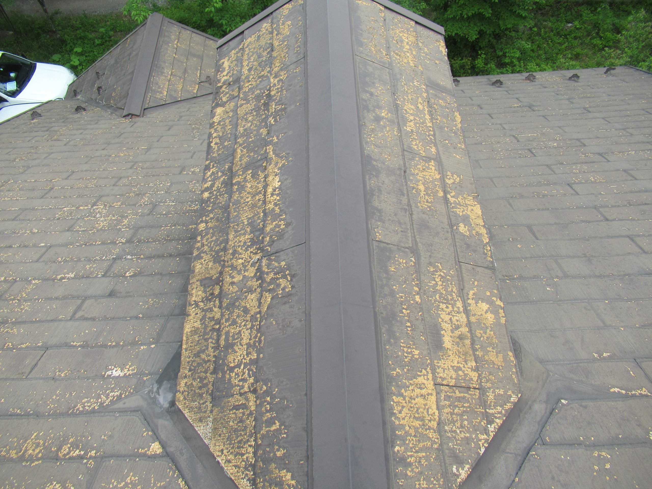 北杜市別荘屋根