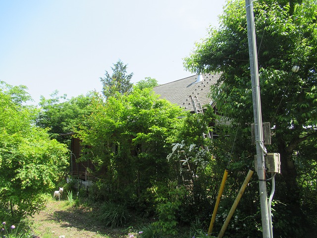 北杜市自然の中の住宅