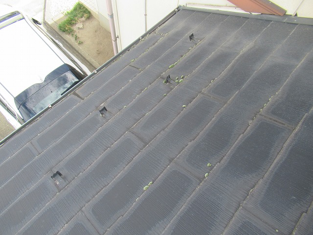 甲州市屋根のこけ写真