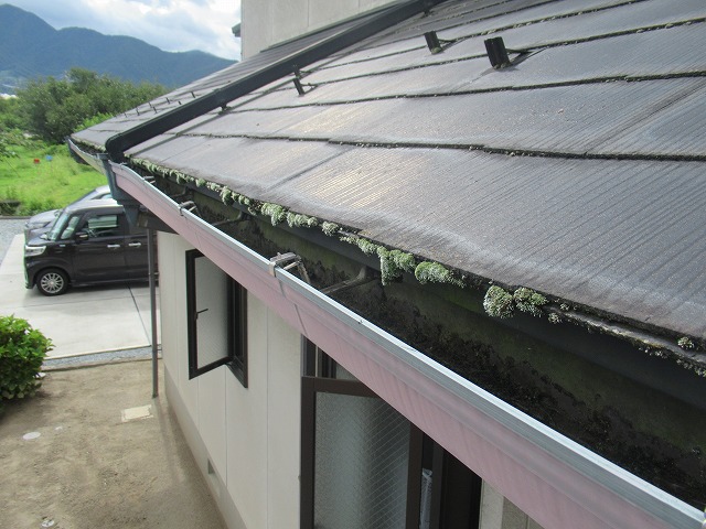 甲州市屋根のこけ