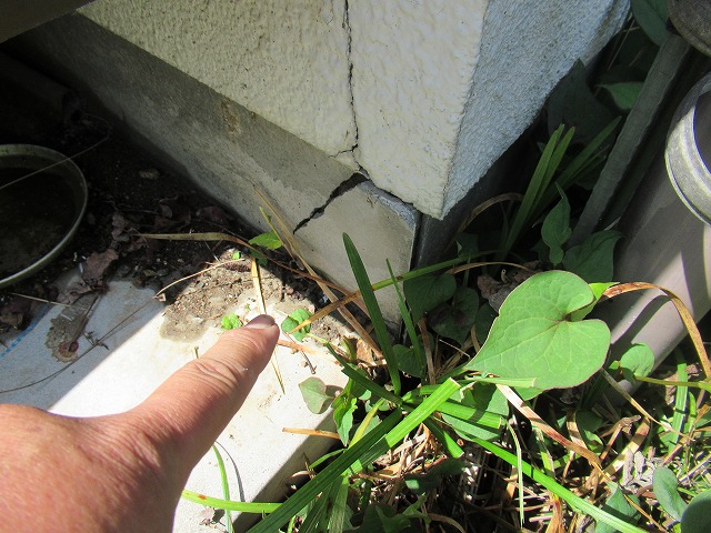 笛吹市外壁ひび割れ