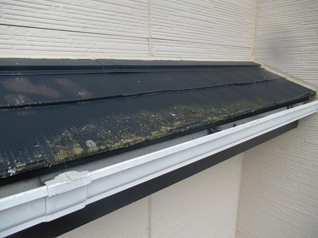 甲斐市屋根コケ