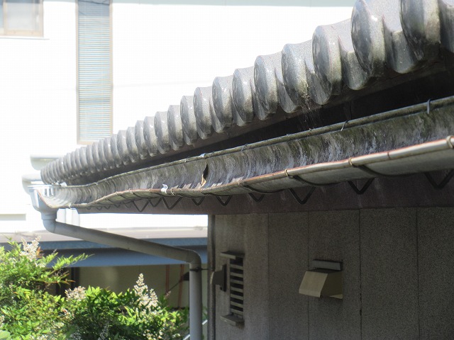 雨樋ゆがみ