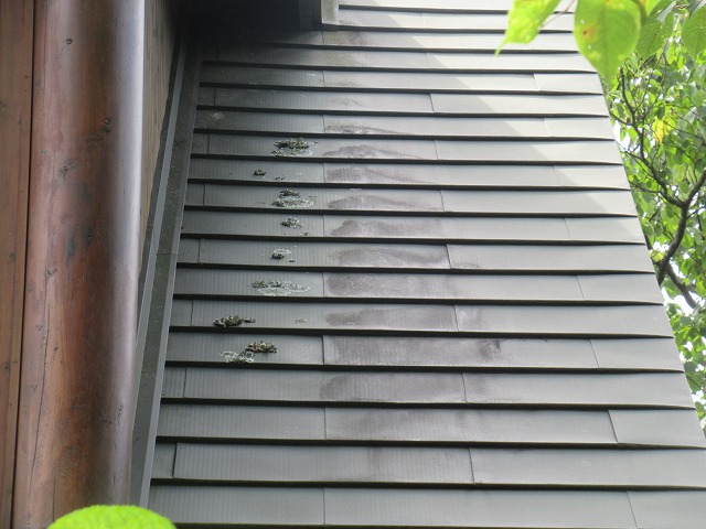 北杜市　屋根こけ