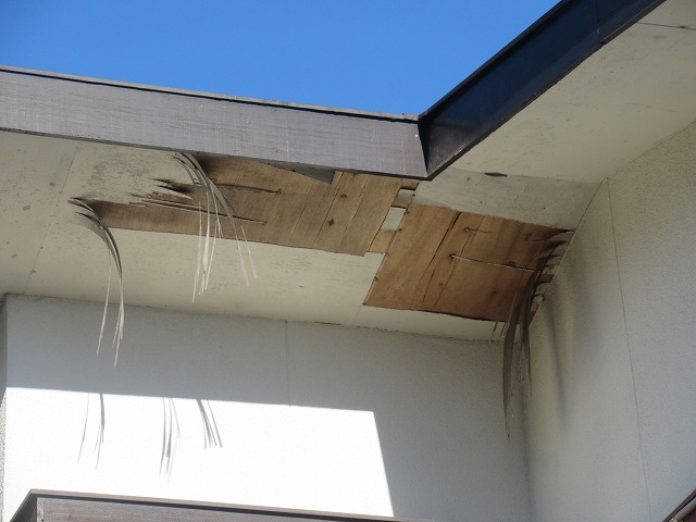 甲府市　軒天井剥がれ