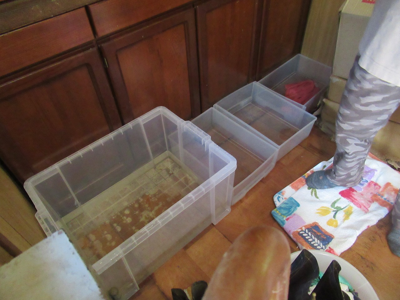 甲府市雨漏れ水