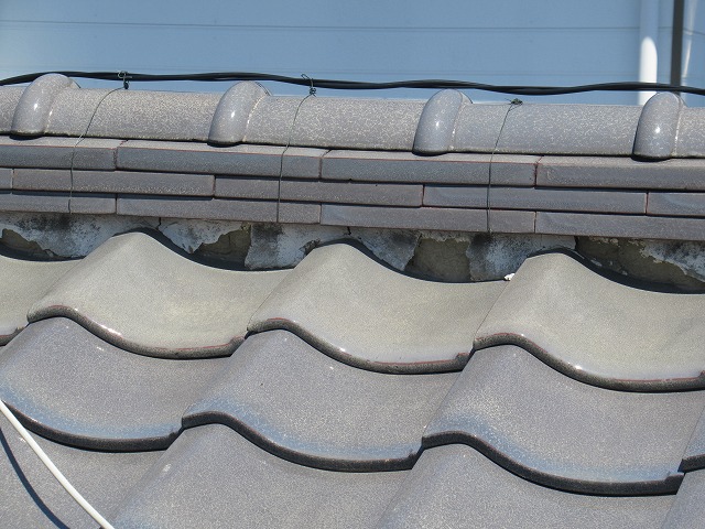 現地調査時の状態