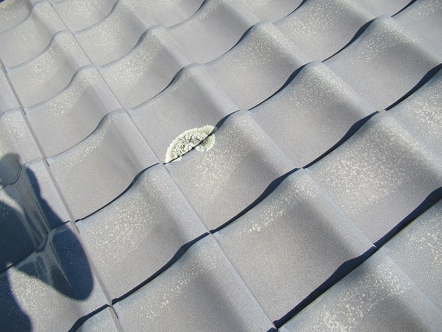 身延町　屋根苔発生