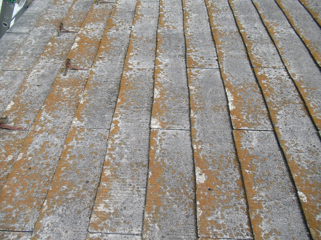 韮崎市　スレート屋根こけ