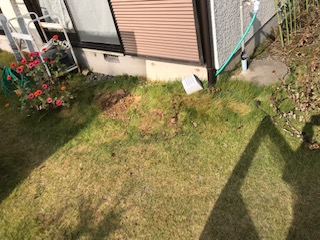 屋根工事　清掃