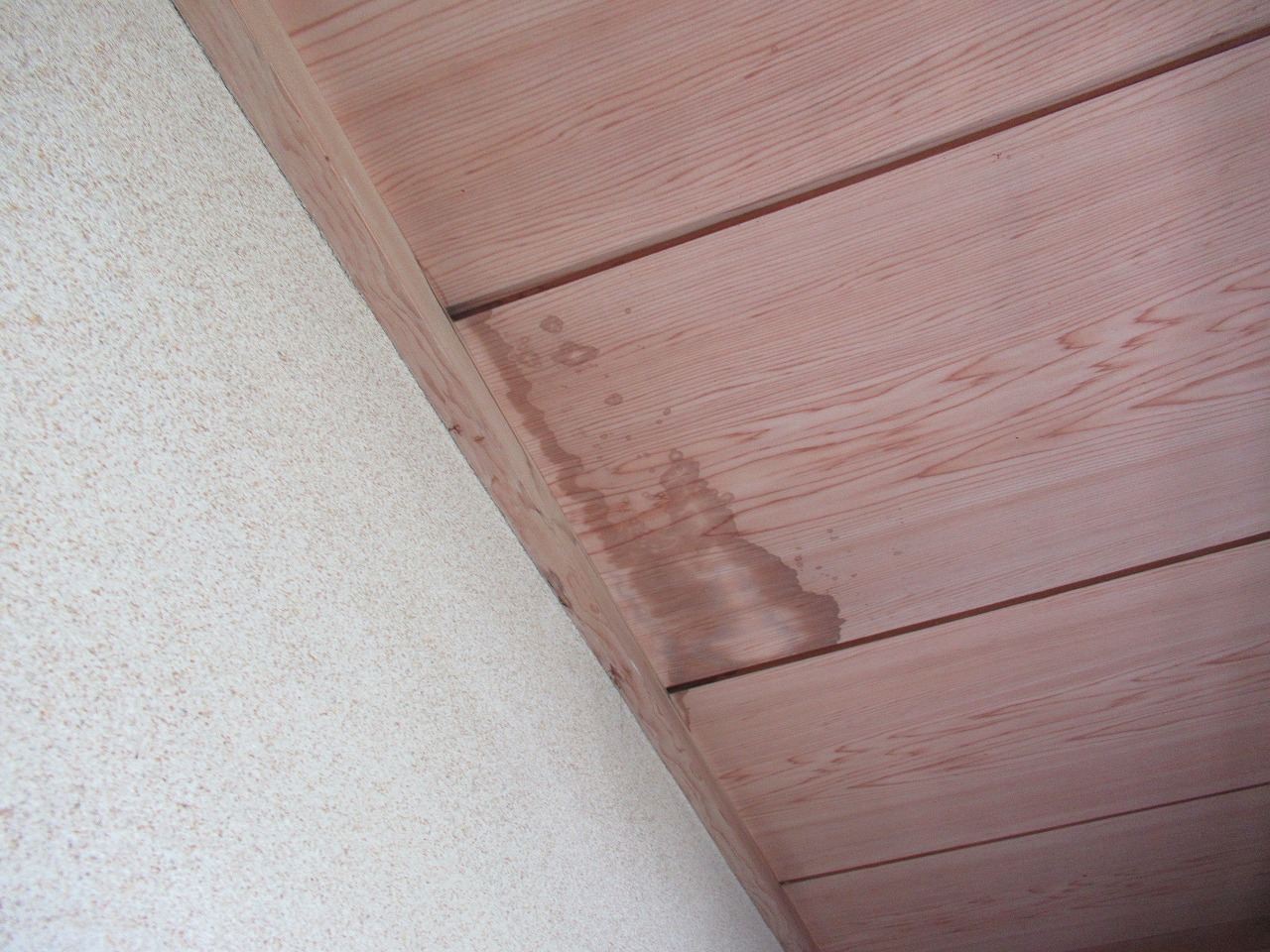 昭和町天井雨漏れ写真