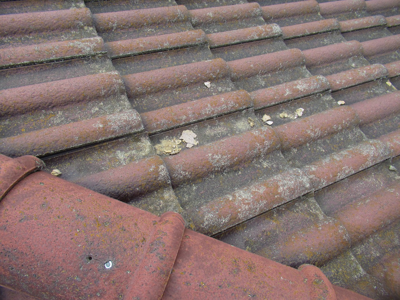 南アルプス市モニエル瓦漆喰破損