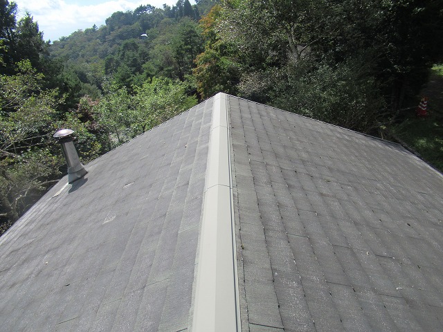 山中湖村　屋根全体