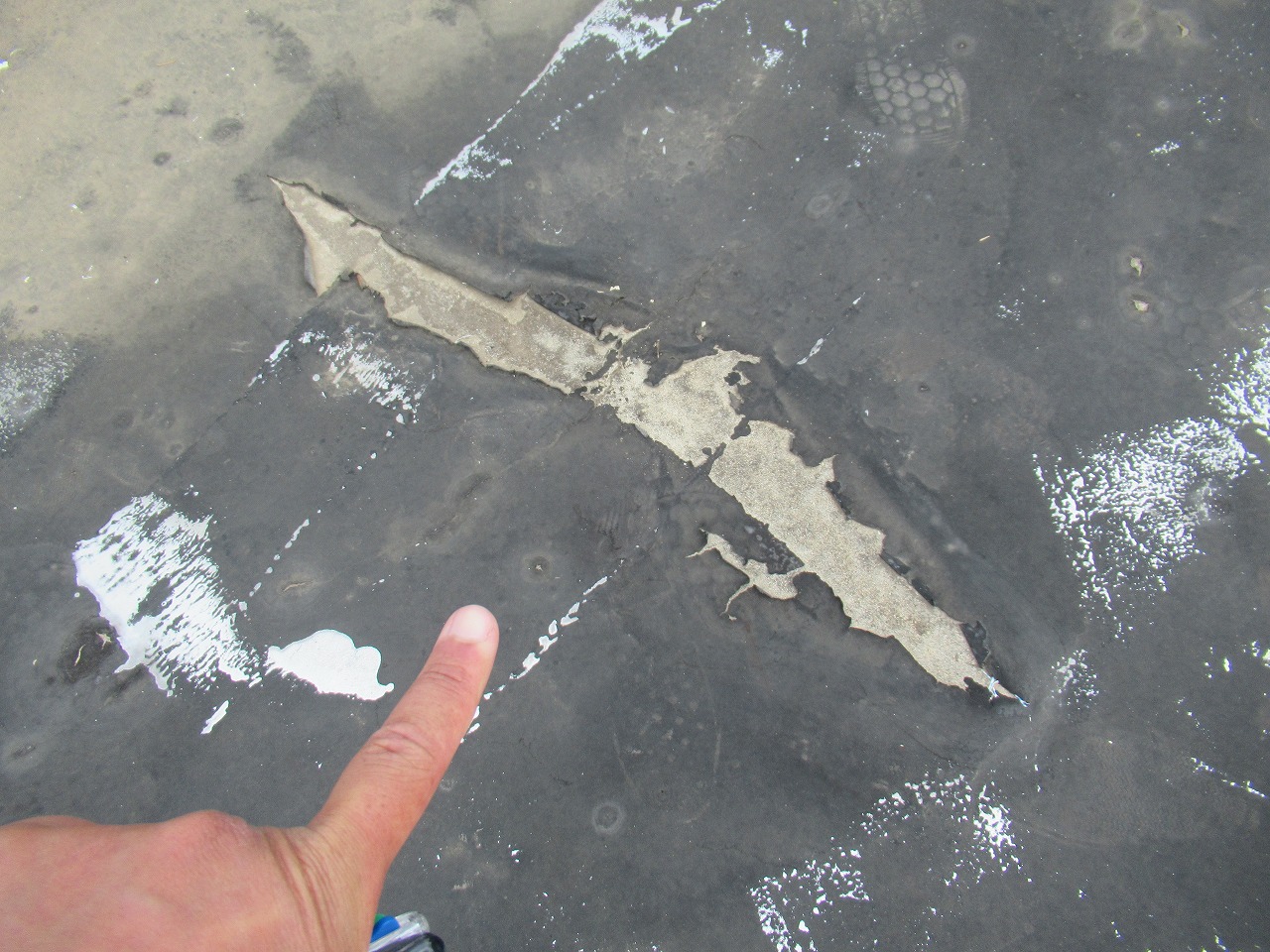 シート防水破損個所