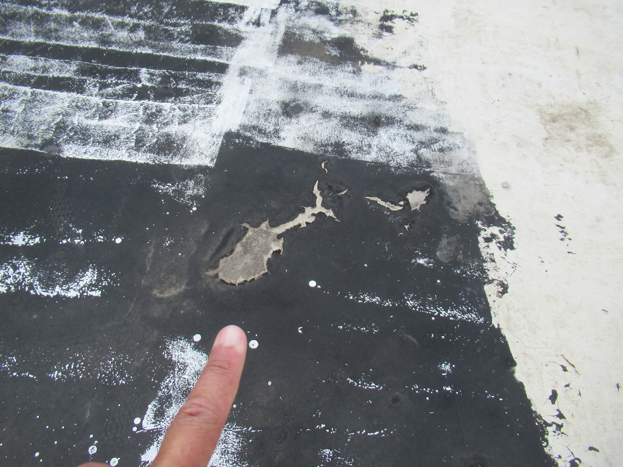 シート防水破損