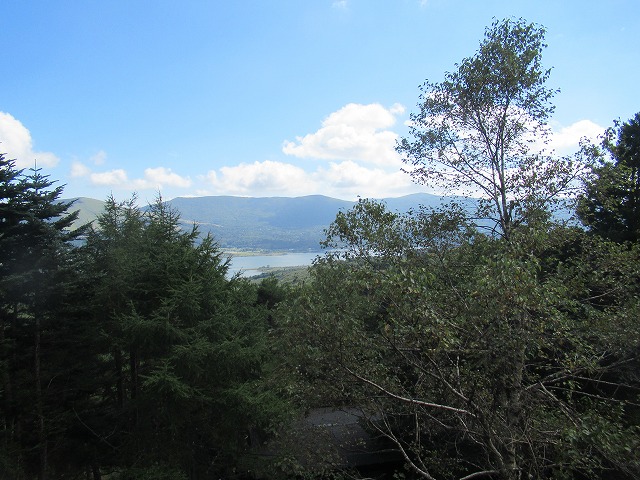 山中湖村　調査