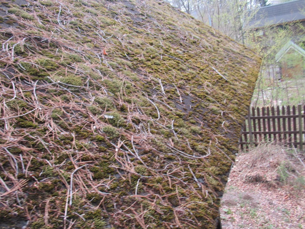 北杜市屋根苔発生