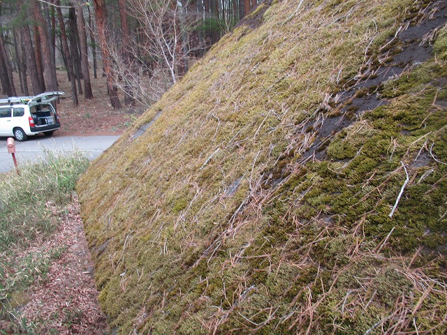 北杜市　屋根にこけ