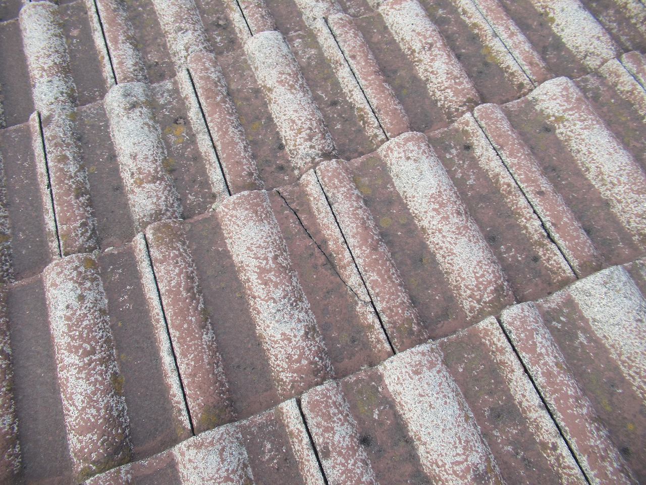 モニエル瓦割れ箇所